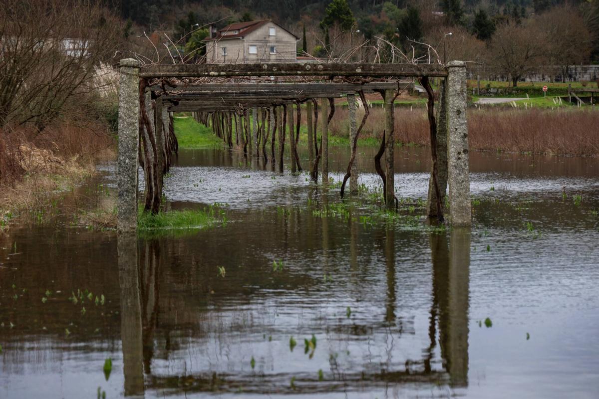 La huella de la borrasca Ingrid en la comarca.