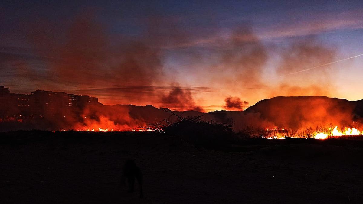 Incendio en un cañar de Cullera