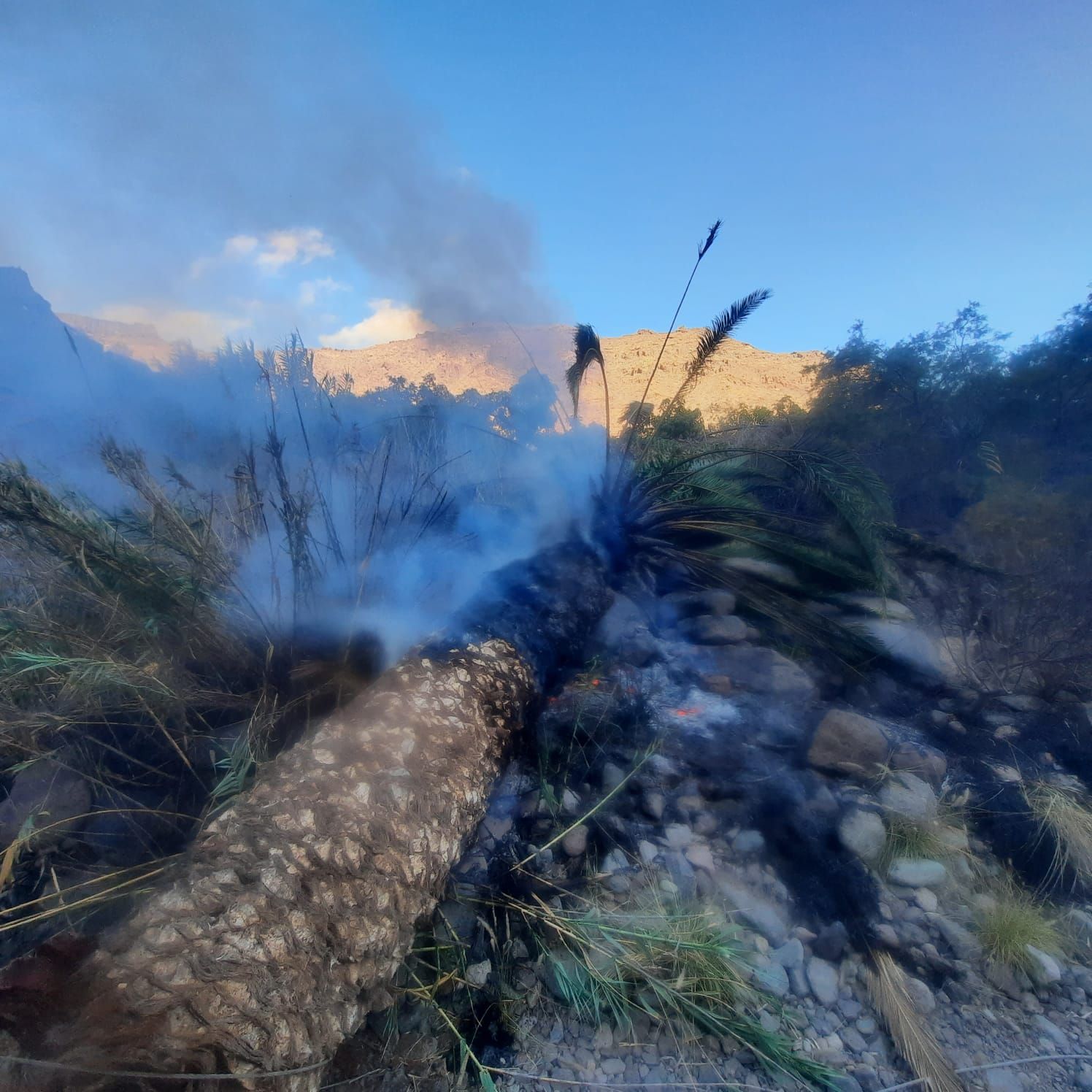 Conato de incendio en Mogán