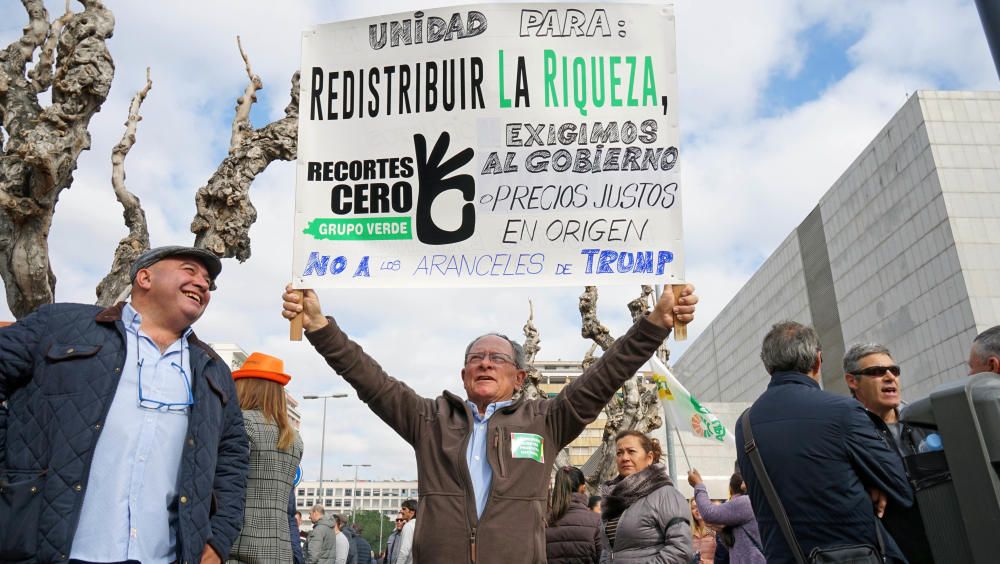 Así ha sido la manifestación de los agricultores