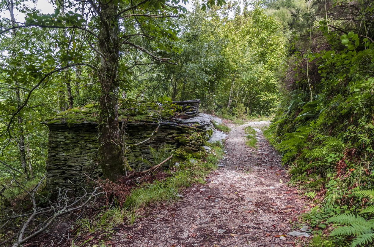 Para descubrir Galicia a fondo hay que calzarse las botas de montaña.