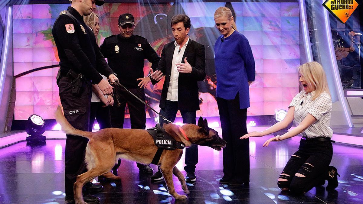televisión hormiguero lasexta perro policia jubilado