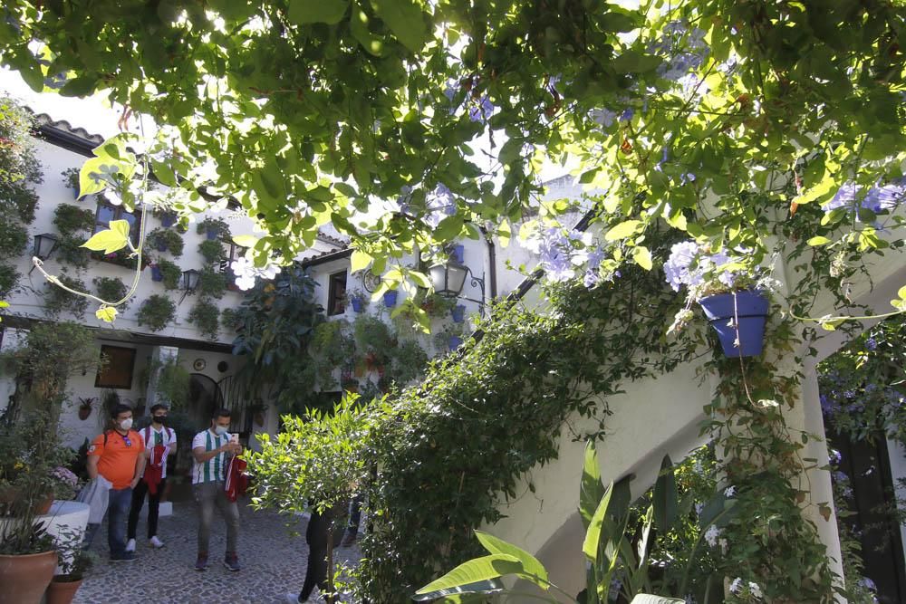 Animado último domingo de Patios