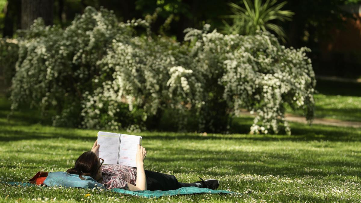 MADRID , 25/04/2025.- Una persona lee al sol en el Retiro, en Madrid-