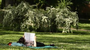 MADRID , 25/04/2025.- Una persona lee al sol en el Retiro, en Madrid, este viernes, una jornada marcada por las temperaturas primaverales. EFE/ Alberto Aguado