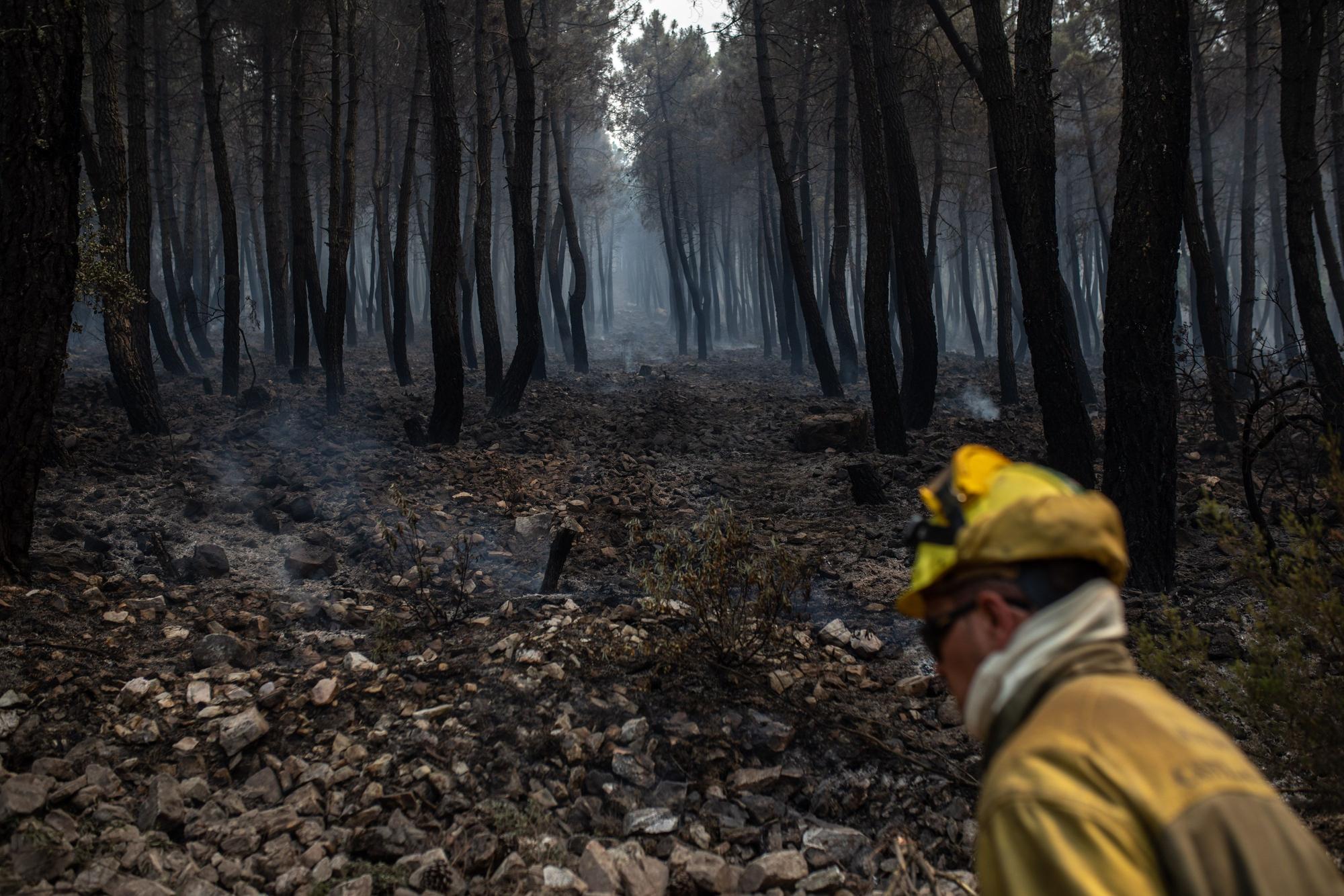 Zamora, el infierno en llamas