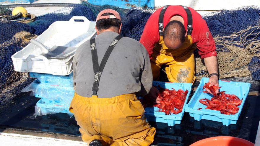 La pesca de la gamba de Palamós, la més ben gestionada de Catalunya