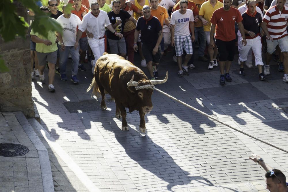 La carrera del Toro Enmaromado 2017 Razonador