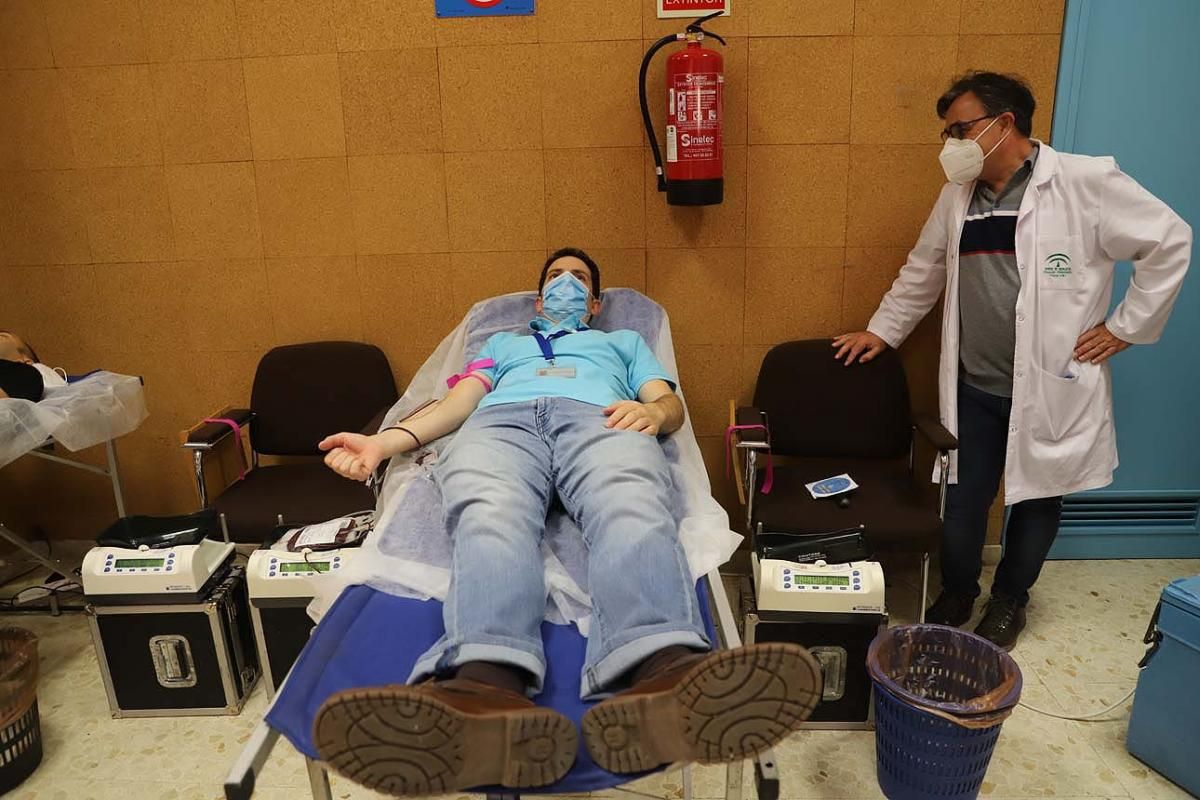 Semana del Donante: campaña especial de donación de sangre y de plasma