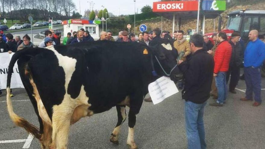Los ganaderos llevaron ayer varias vacas hasta la explanada del centro comercial para proseguir con sus protestas.