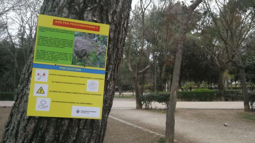 L’Ajuntament de Figueres alerta que hi ha erugues al Parc Bosc