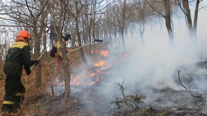 Dos bomberos, sofocando un incendio cerca de Bandujo (Proaza).