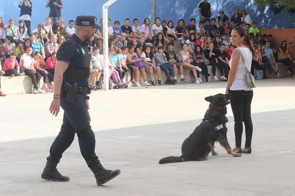 Agentes de Sant Antoni muestran a los alumnos las habilidades de la perra para detectar droga.