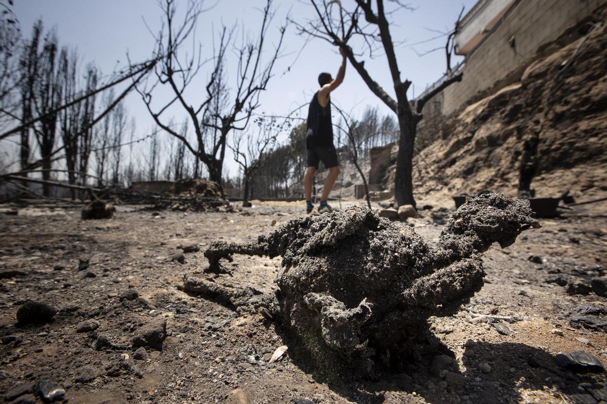  Urbanización River Park del Pont de Vilomara muy afectada por el incendio forestal que empezó el pasado domingo en el Pont de Vilomara (Bages) En la foto, Eloi con su casa parcialmente quemada y una gallina que murió quemada .