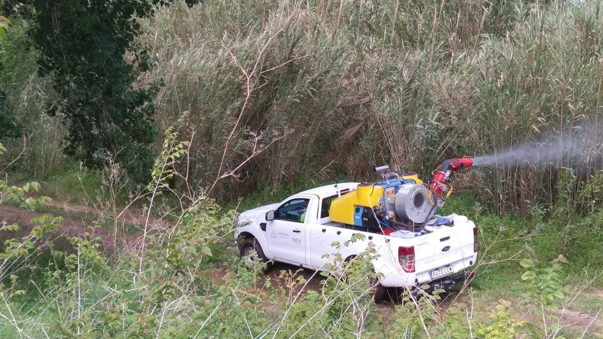 La empresa Lokímica lleva a cabo tratamientos antimosquitos por varios puntos de la provincia de Castellón.