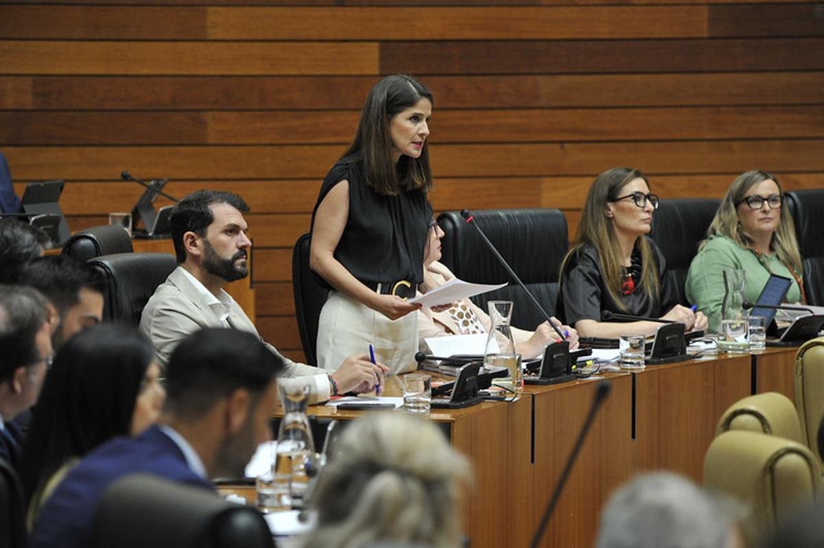 La portavoz del Grupo Socialista, Isabel Gil Rosiña, toma la palabra en el pleno.