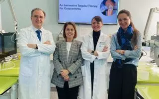 Científicos del Inibic de A Coruña avanzan en el desarrollo de un tratamiento inyectable para la artrosis de rodilla