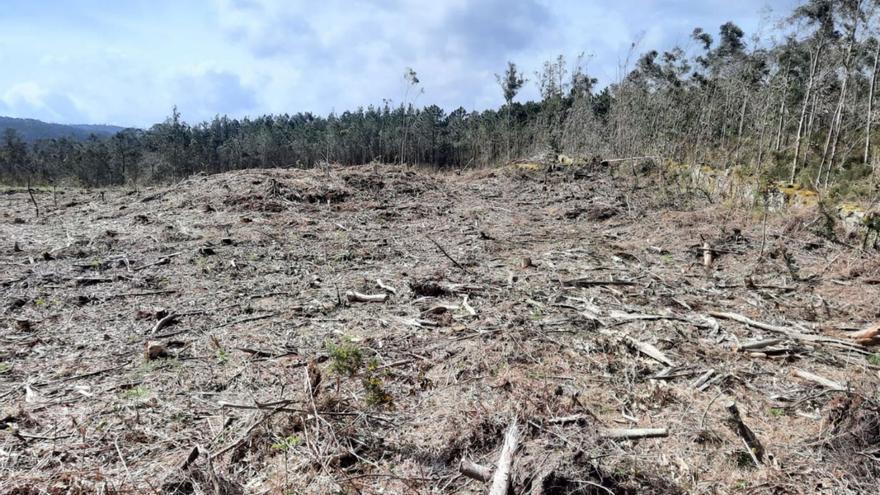 Caión descubre tumbas del Neolítico