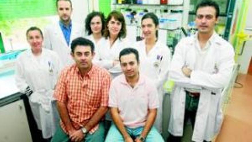 El cerdo ibérico puro beneficia la salud cardiovascular humana