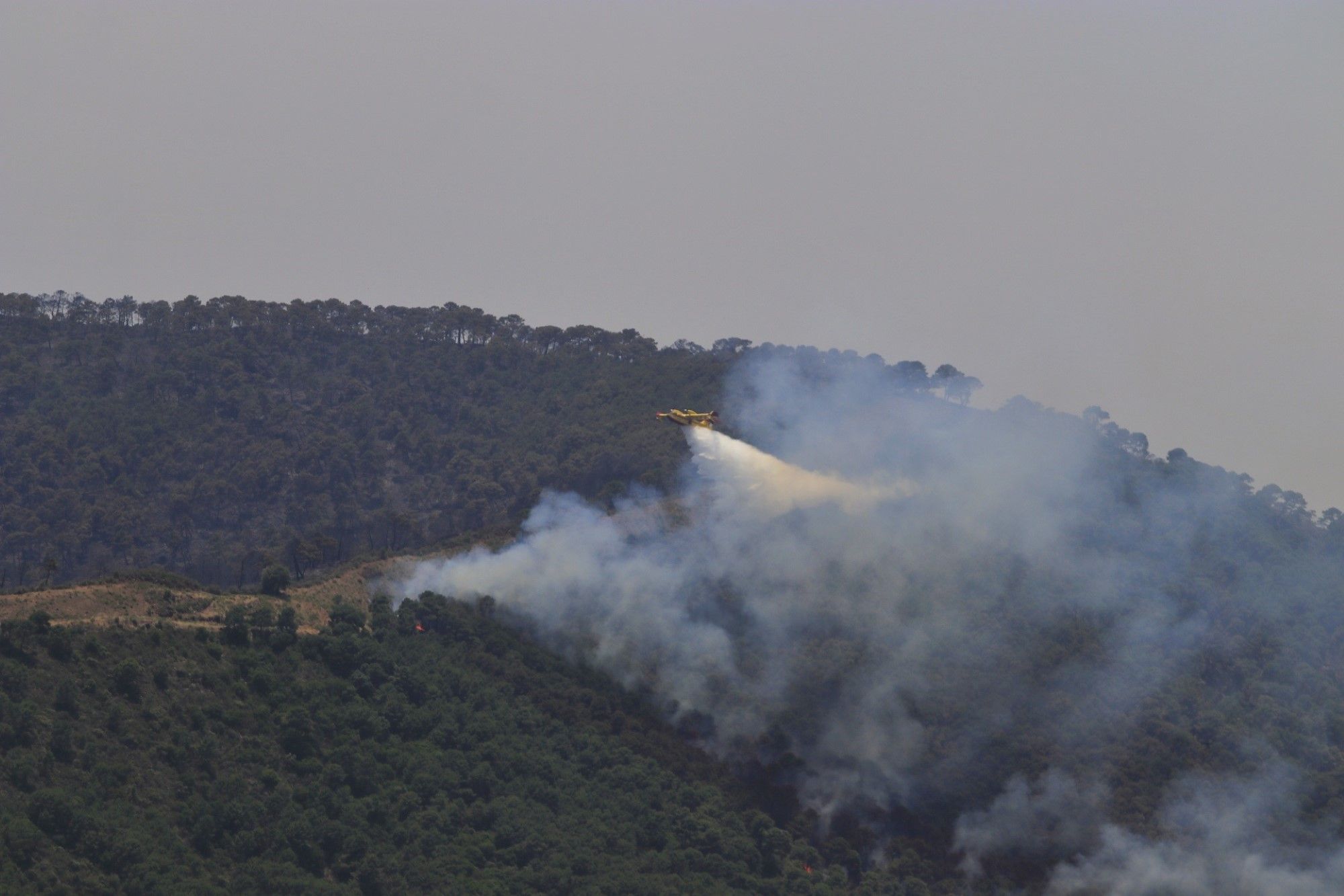 Un millar de efectivos trabajan para controlar el fuego de Sierra Bermeja