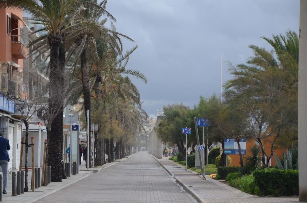 November-Wetter auf Mallorca - den Surfern gefällt's