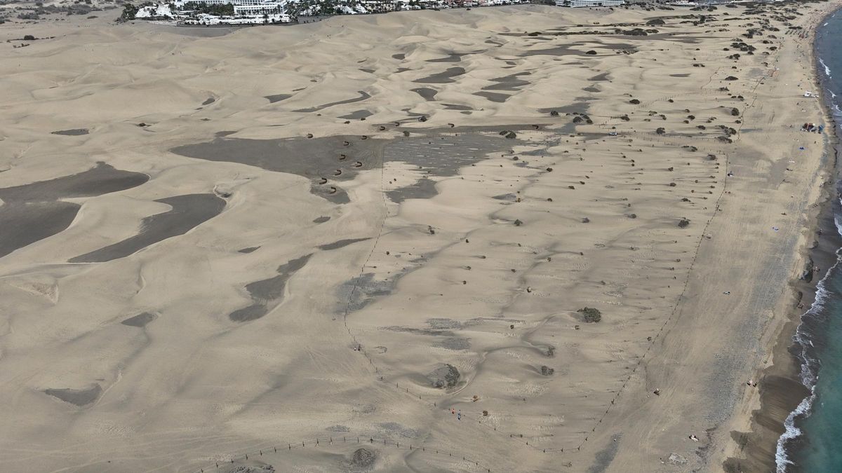 Vista aérea de la delimitación de la parcela donde se desarrolla el proyecto Masdunas.