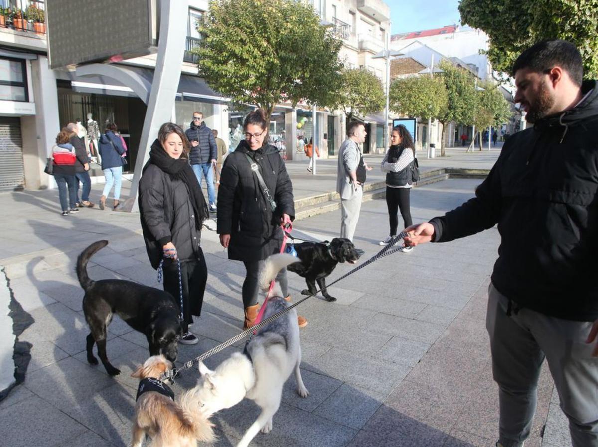 Algunas personas en el exterior del pleno con sus perros. |   // S.ÁLVAREZ