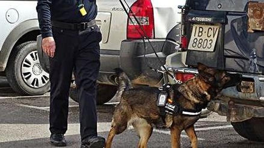 La unidad canina de la Policía Local de Formentera fue presentada en 2015.