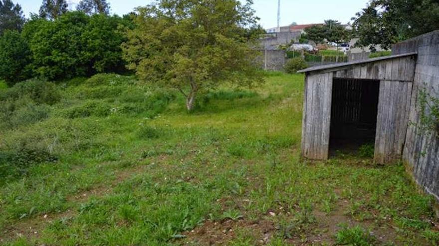 La bolsa de tierras de la Biosfera tiene 30 parcelas que buscan uso - La  Opinión de A Coruña