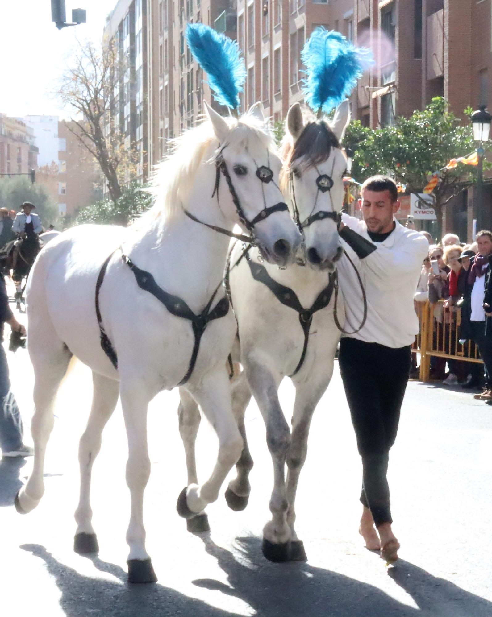 Perros policía y animales de granja completan el desfile de Sant Antoni en València