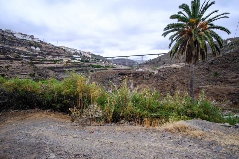 27-07-18. LAS PALMAS DE GRAN CANARIA. CAMINO REAL A GÁLDAR EN TENOYA. FOTO: JOSÉ CARLOS GUERRA.  | 27/07/2018 | Fotógrafo: José Carlos Guerra