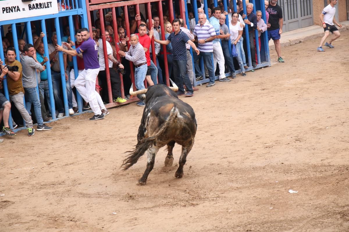 Fiestas patronales de Santa Quitèria de almassora III