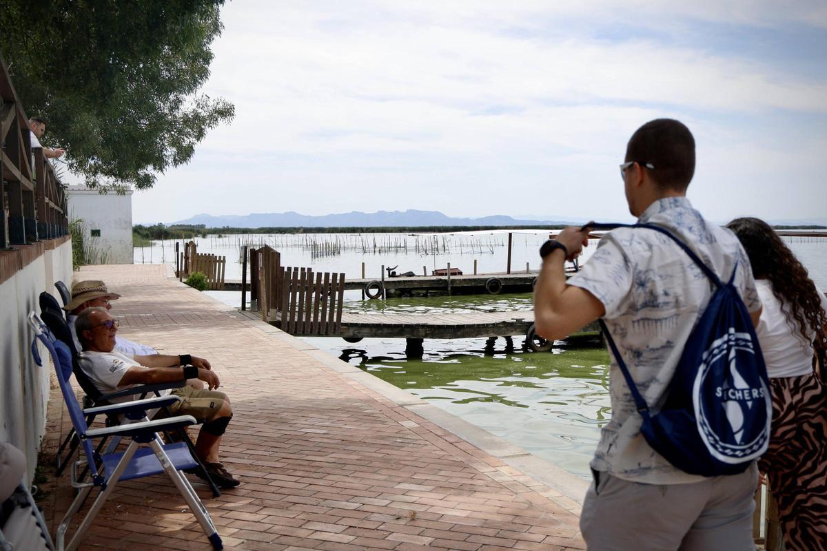 La salinización avanza en l'Albufera