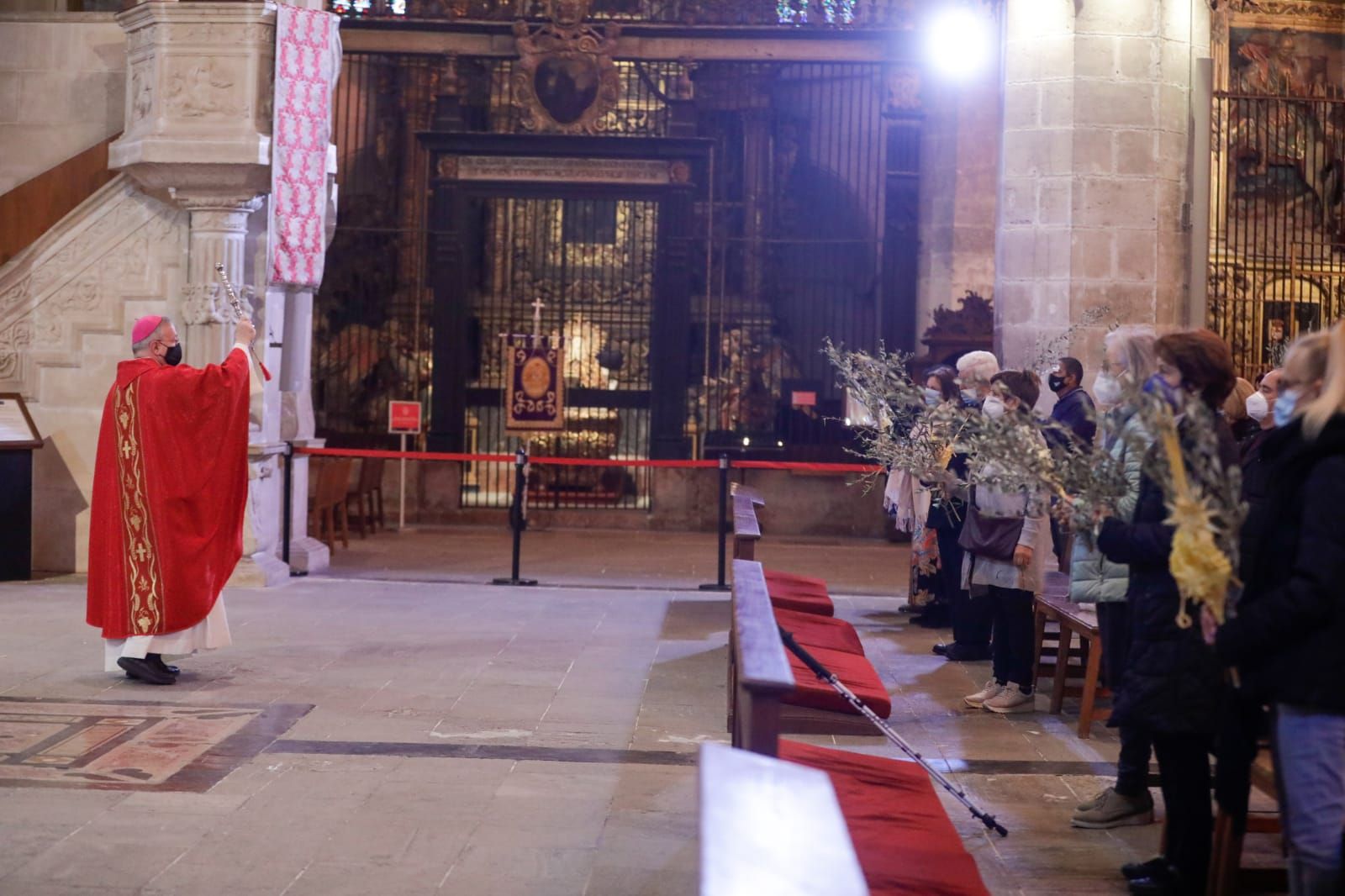 Domingo de Ramos sin procesión en Palma