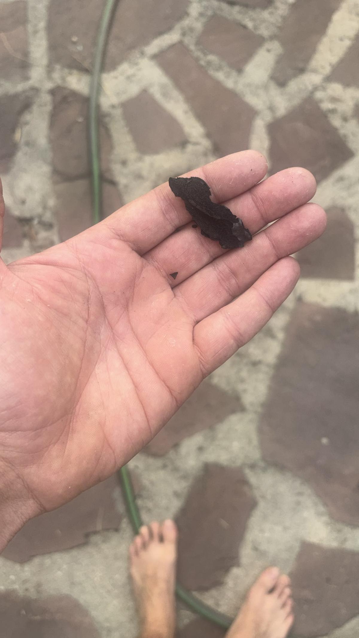 Un vecino de El Tiemblo recoge un trozo de ceniza en su parcela.