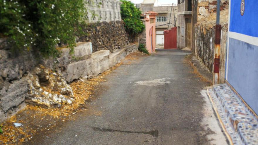 Vecinos de Valle de los Nueve denuncian plagas de cucharachas y ratas en el barrio