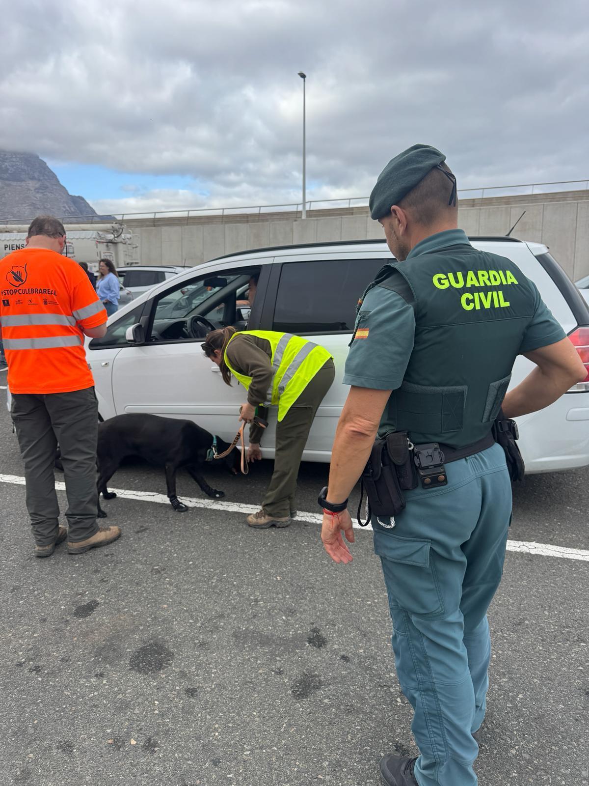 Control de un vehículo este jueves en el puerto de Agaete