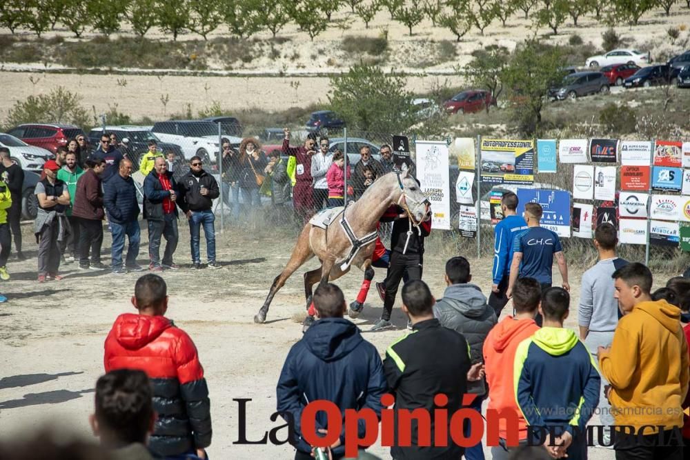 Carrera de entrenamiento de los Caballos del Vino