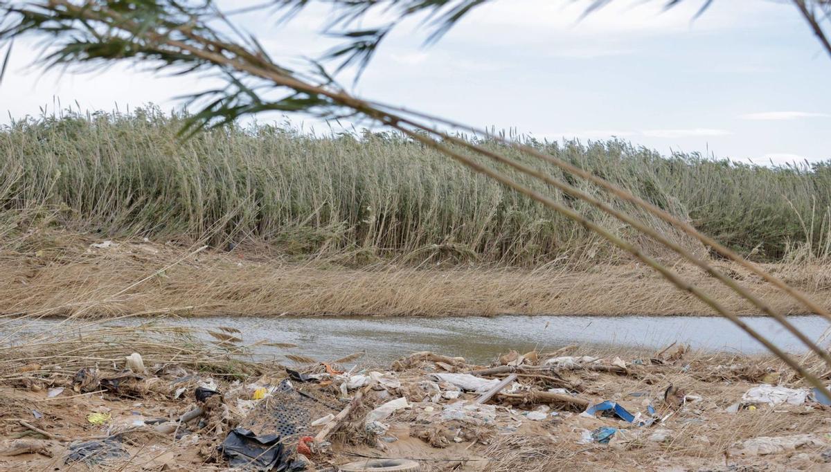 Residuos, cañas y todo tipo de enseres llegaron con la lengua de barro y agua que arrastró el barranco del Poyo hasta su desembocadura en l’Albufera. Arriba, imagen de uno de los tanques de tormenta situados en paralelo a la pista de Silla. Fotos: Germán Caballero | GERMAN CABALLERO