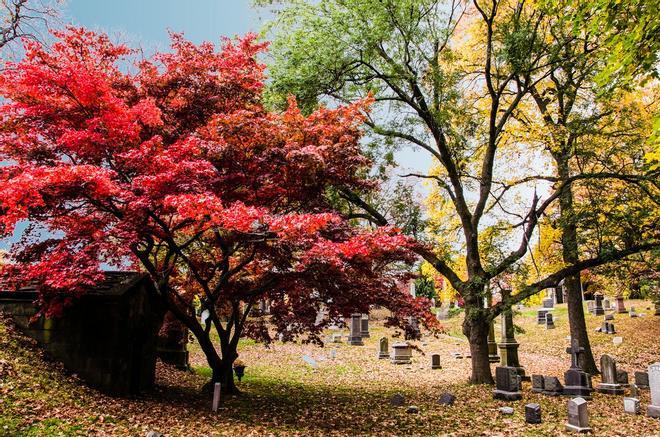Green-Wood Cemetery, Nueva York