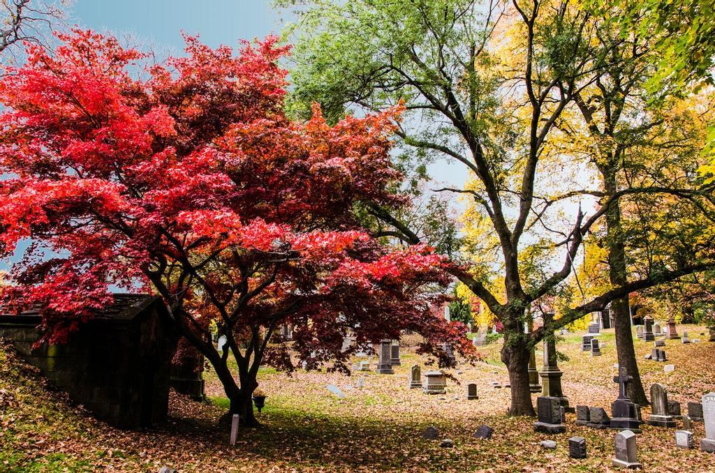 Green-Wood Cemetery, Nueva York