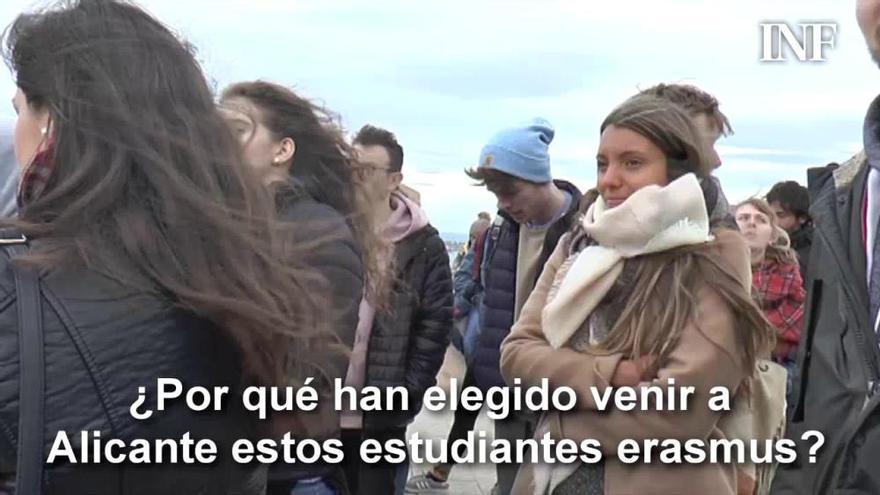 ¿Por qué eligen los estudiantes Erasmus venir a Alicante?