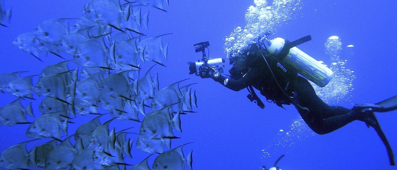 Numerosas campañas van destinadas a la protección de los océanos y el estudio de la biodiversidad