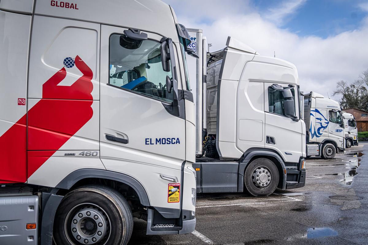 Camiones aparcados en una área de servicio.