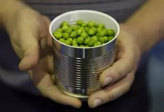 Incorporar lleguminoses a la rotació de cultius millora la qualitat del sòl i la seva productivitat