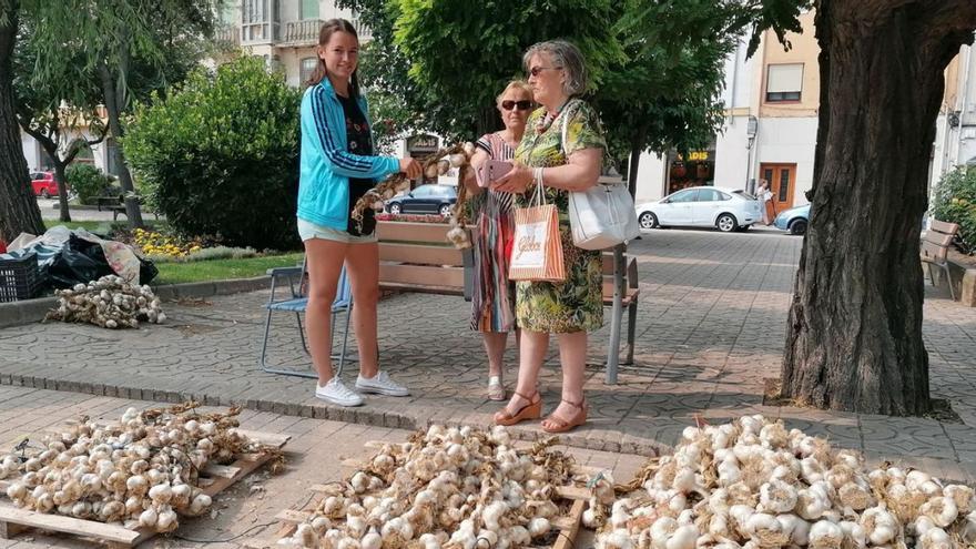 Dos vecinas adquieren una ristra de ajo en uno de los puestos instalados en la plaza de Santa Marina. | M. J. C.