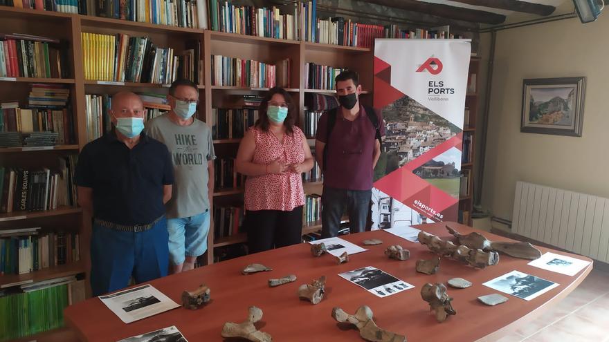 Vallibona constituirá un museo con la reproducción de fósiles de un dinosaurio local