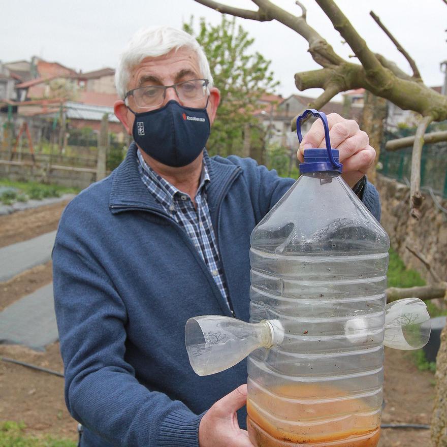 Xosé Carballido, con una trampa para avispa asiática en la huerta de su casa. // IÑAKI OSORIO