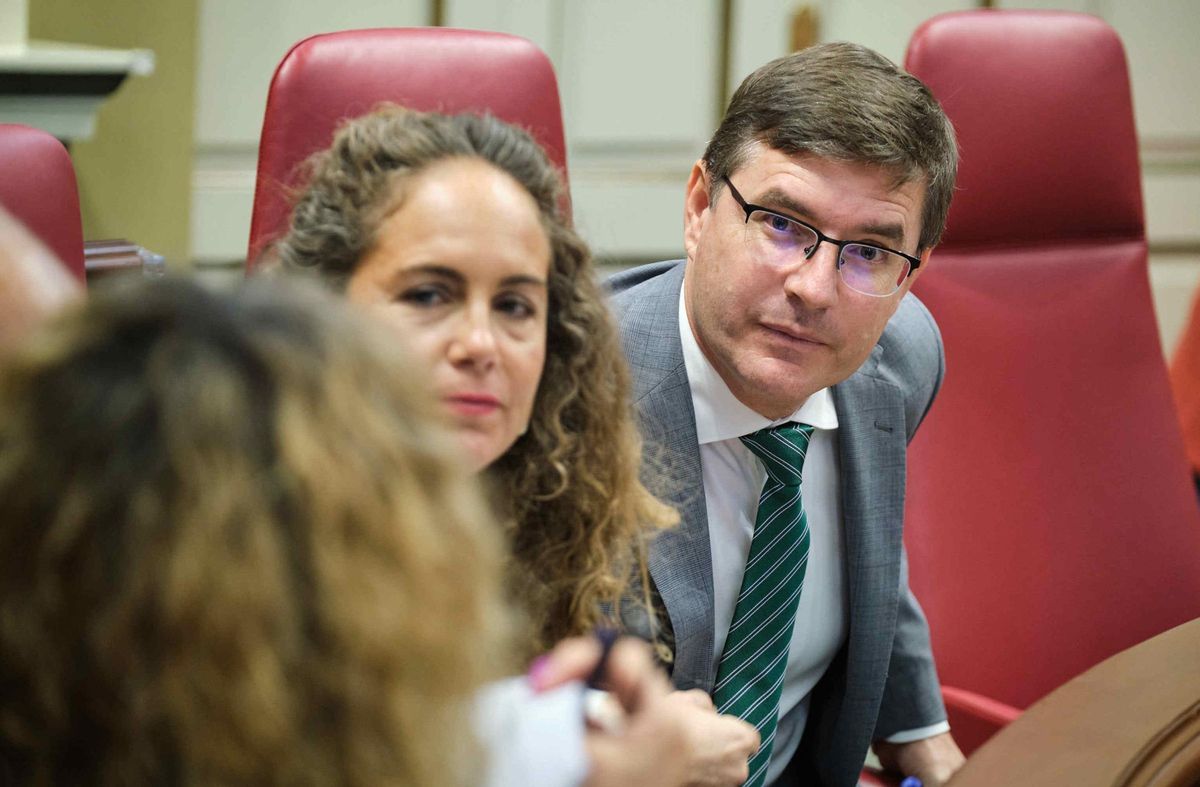 Los diputados de Vox Nicasio Galván y Paula Jover.