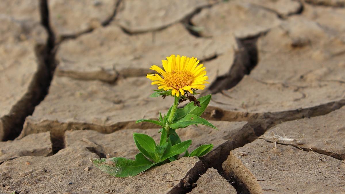 Una nueva teoría intenta explicar el misterio de la vida aunando física y biología.